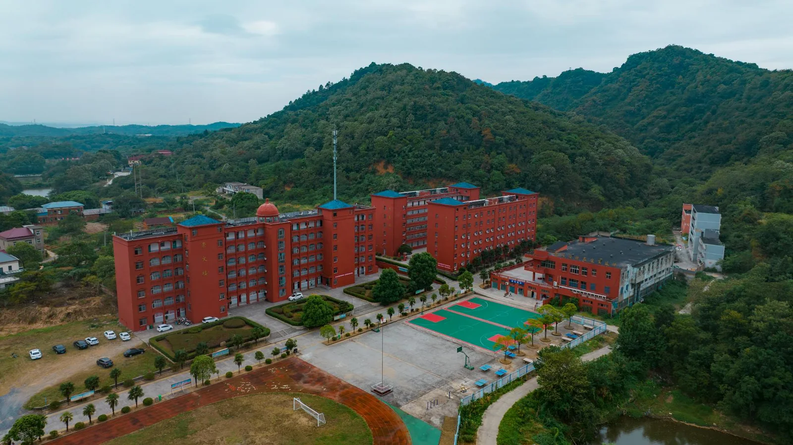 视频内容编排的目录场景，展示题材频道与条目列表的组织方式